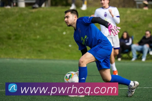 雅博appAPP 封面图