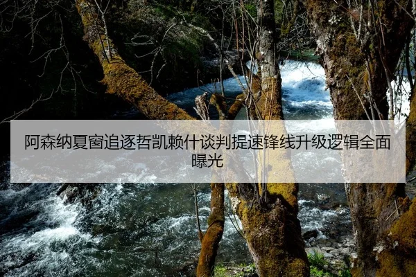 阿森纳夏窗追逐哲凯赖什谈判提速锋线升级逻辑全面曝光