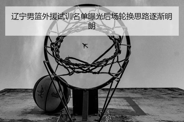 辽宁男篮外援试训名单曝光后场轮换思路逐渐明朗